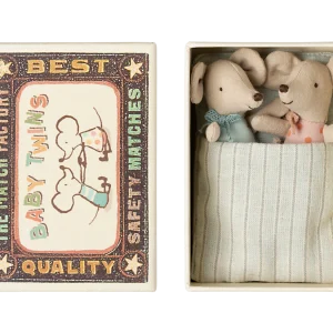 Bébés souris jumeaux dans leur boîte d&rsquo;allumettes