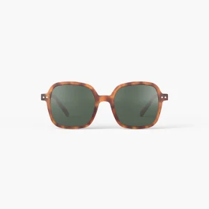 Lunettes Sun Adulte Havane #OFFICE