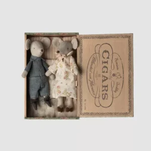 Souris grand-parents dans leur boîte de cigares