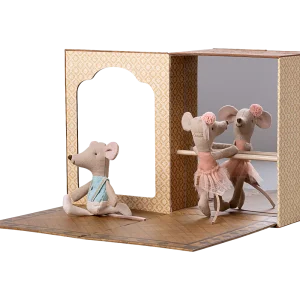 Studio de danse petite soeur et petit frère souris