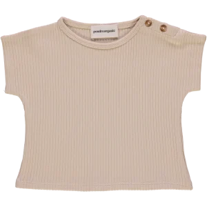 T-shirt DIgital Côtelé Biscotti