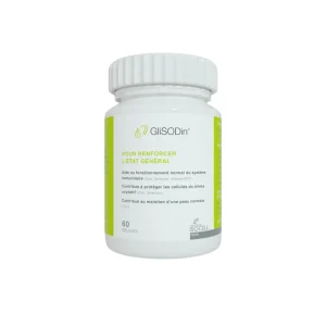 GLISODIN v-sob 60 GELULES