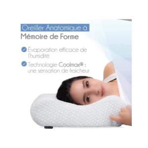 OREILLER MEMOIRE de forme GEL RAFRAICHISSANT