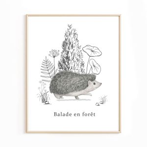Affiche Balade en forêt