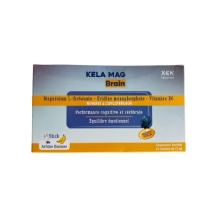 XEN KELA MAG BRAIN STICK BOITE DE 15