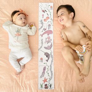 CARTES ÉTAPES + TOISE BB