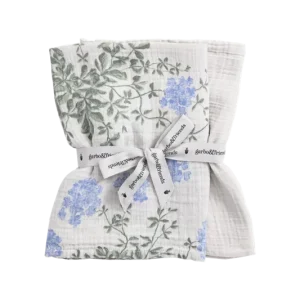 Lot de 2 langes Plumbago