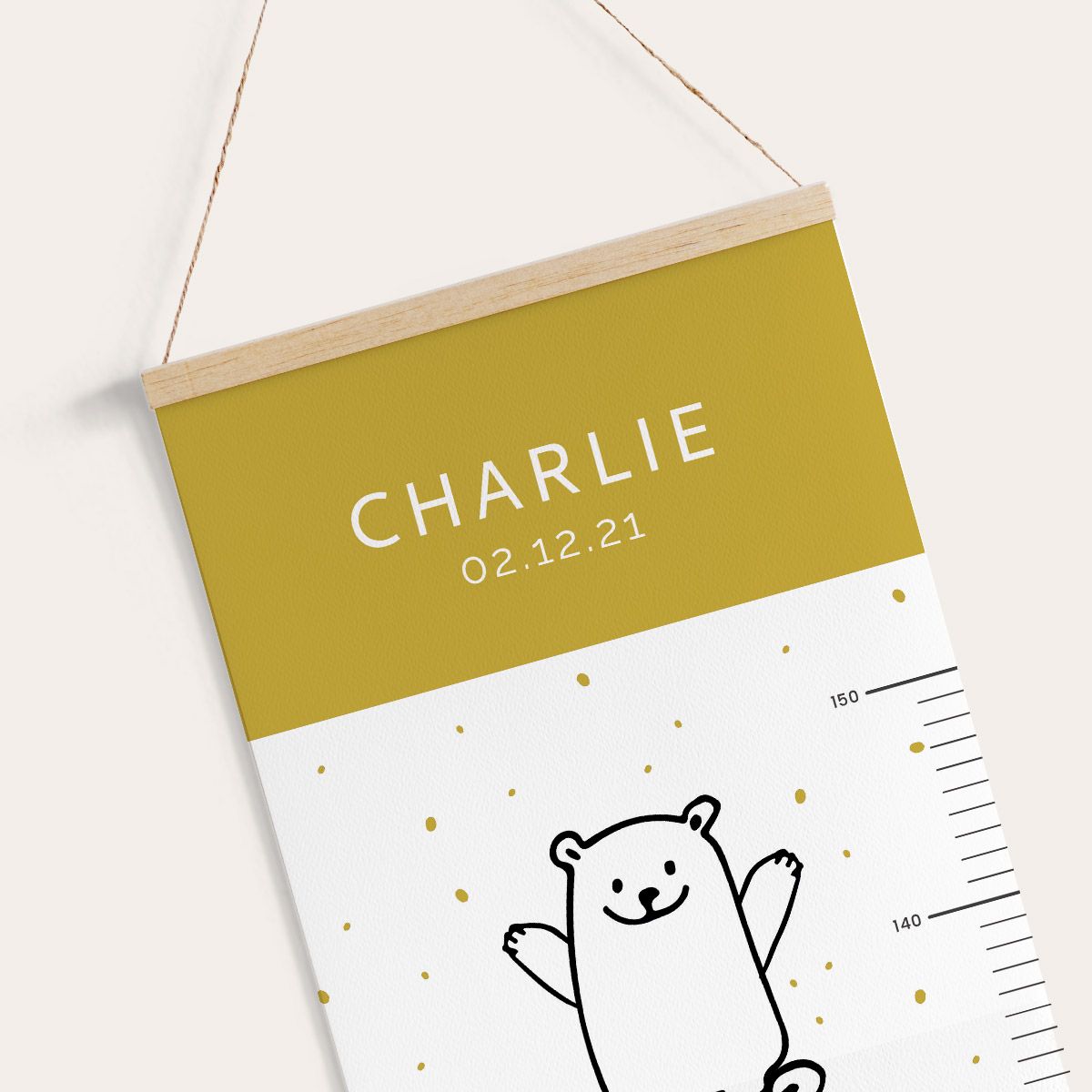 Toise ours scandinave – Image 3