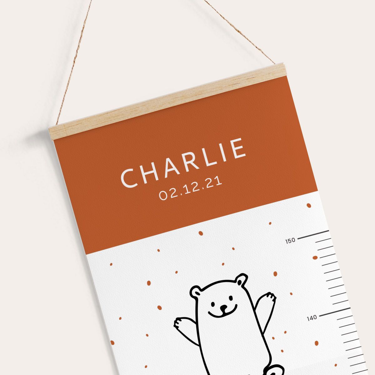 Toise ours scandinave – Image 4